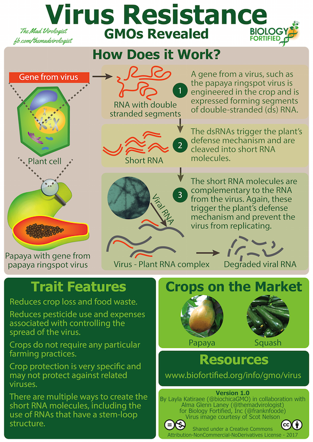 GMOs Revealed virus v1 0