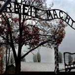 Palestinesi ad Auschwitz: il viaggio dell'empatia