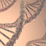 CRISPR, la rivoluzione del genome editing che sembra un OGM ma forse non lo è